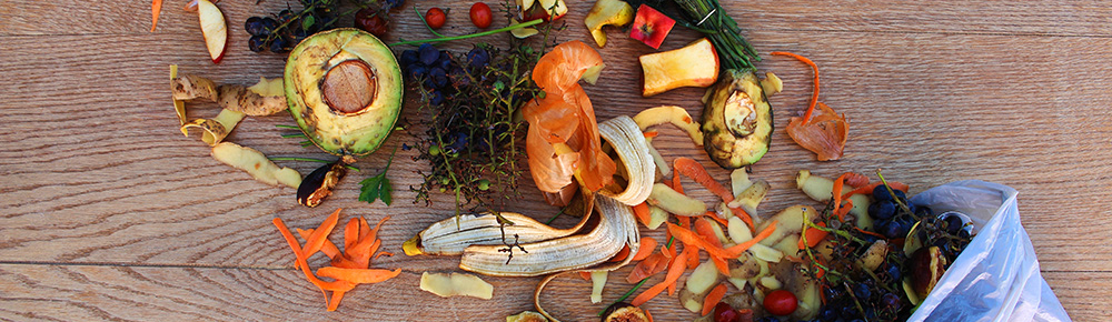 How to Decrease Wastage in the Food Business