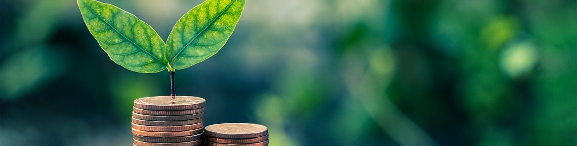 SME-Lending-options