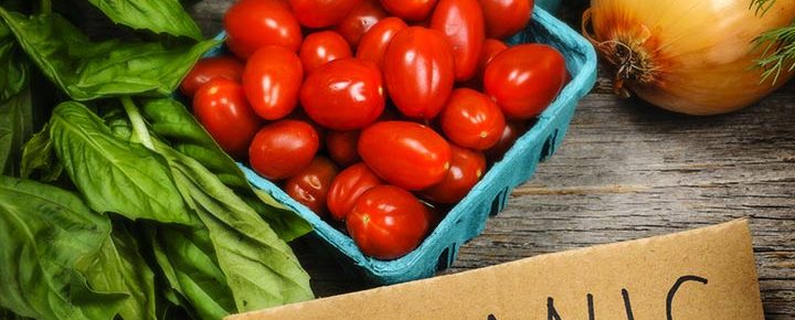 Organic-Food-Store