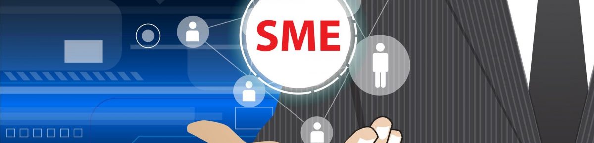 Evolution of SME Lending