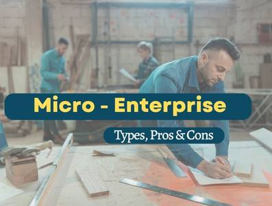 micro-enterprise