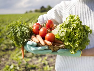 Organic Farming for Rural Business